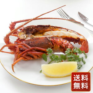 ɐCV  Ⓚ Mtg  ጎ VRⓀɐCV2  N VC HiMtg 񂹃O Ε