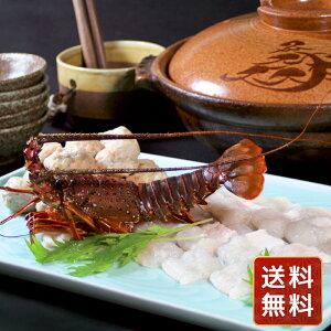  ጎ ͂ƈɐт̓  N VC HiMtg 񂹃O Ε NX}X