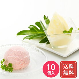 新潟ル レクチエシャーベット&越後姫アイスクリーム詰合せ 送料無料 お年賀 シイレル 食品ギフト お取り寄せグルメ お歳暮 クリスマス