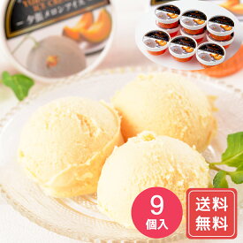 北海道 夕張メロンアイス9個 送料無料 お年賀 贈答用 ギフト用 お取り寄せ 人気 おすすめ 特価 こどもの日 夏祭り 手土産 健康スイーツ シイレル 食品ギフト お取り寄せグルメ お歳暮 クリスマス