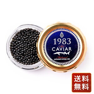 {LrA 1983 12g×2  N p Mtgp  lC   N H VC HiMtg 񂹃O Ε