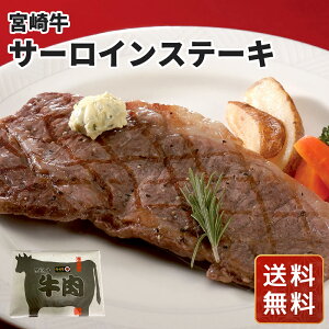 [ ǂԂ [X[v [Zbg Mtg  S߂񎩖[ 12HZbg  N VC HiMtg 񂹃O Ε