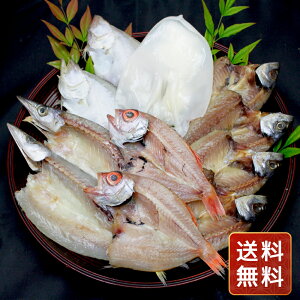 ���� �o�_�����Z�b�g �������� �����p �M�t�g�p ������ �l�C �������� ���� ���N�� ��y�Y �V�C���� �H�i�M�t�g �����񂹃O���� ���Ε� �N���X�}�X