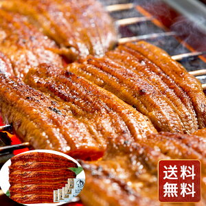 Ȃ Y Ȃ 5 Ȃ  Ȃ Y Mtg YҌ {茧YȂ  VC HiMtg 񂹃O Ε NX}X