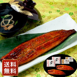Ȃ Ⓚ Ȃ  Y V  lߍ킹 ̋zR{V {茧YȂ2 v360g̋zt VC HiMtg 񂹃O Ε