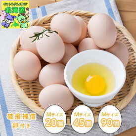 キセキのたまご 北海道産 下川六〇酵素卵 20個 45個 90個 割れ補償付き 採れたて 美味しい 新鮮 卵 北海道 養鶏場 こだわり たまご屋さん たまごご飯 お菓子作り 道産素材 ギフト あべ養鶏場 食品ギフト お取り寄せグルメ お歳暮 クリスマス