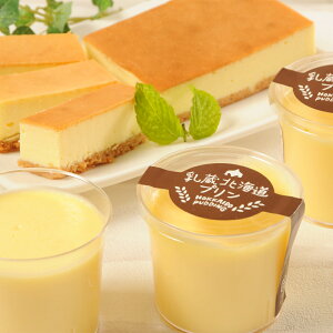 XC[cMtg f َq  kCvƃ`[YP[LZbg fU[g v `[YP[L XC[c MtgZbg kC Y 蕨 lߍ킹  VC eB