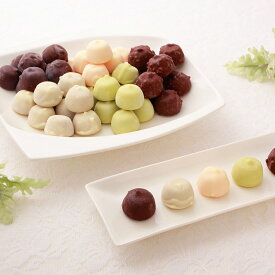 スイーツギフト こだわり素材 お菓子 横濱浪漫館 チョコアイスボールセット シイレル ティータイムにおすすめ お歳暮 クリスマス
