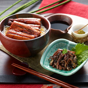 ȂB  ȂĖ킢Zbg Ȃ V̊Ă Zbg Mtg v[g  蕨     y  VC HiMtg 񂹃O 