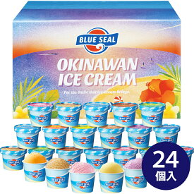 沖縄 ブルーシールアイス 計24個 ギフト プレゼント お正月 贈り物 スイーツ アイスクリーム お取り寄せ 美味しい 高級 冷凍食品 シイレル 食品ギフト お取り寄せグルメ お歳暮 クリスマス