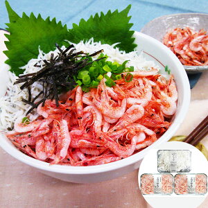 É ΌY x͘pY gс炷Zbgg80g×2Ał炷130g Mtg v[g  蕨      CN i VC HiMt