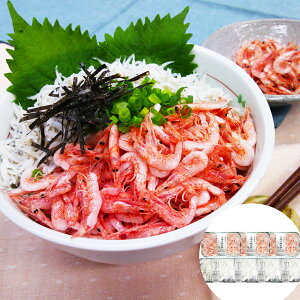 É ΌY x͘pY gс炷Zbgg80g×3Ał炷130g×4 Mtg v[g  蕨      CN i VC HiM
