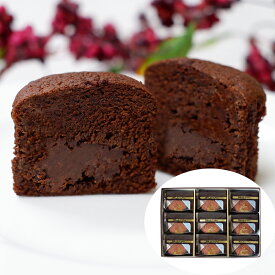 スイーツギフト こだわり素材 お菓子 東京ミカド珈琲トリュフショコラケーキ 9個 トリュフショコラケーキ 贈答用 ギフト用 お取り寄せ 人気 おすすめ 特価 こどもの日 デザート 手土産 シイレル ティータイムにおすすめ お歳暮 クリスマス