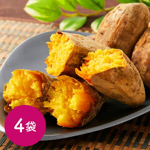 S Jawa Ă 500g×4 HiMtg 񂹃O Ε NX}X