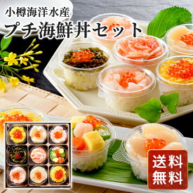 プチ海鮮丼セット 北海道海鮮丼 北海道グルメギフト ご当地海鮮ギフト 高級魚介ギフト 北海道お取り寄せ 北海道限定ギフト 北の味覚ギフト 北海道産直ギフト お歳暮 クリスマス FUJI