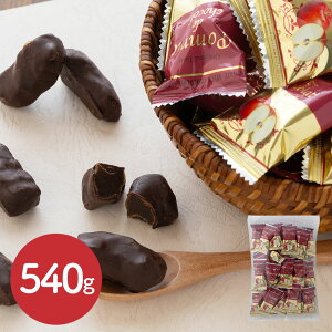 スイーツギフト こだわり素材 お菓子 りんごチョコレート 540g 贈答用 ギフト用 お取り寄せ 人気 おすすめ 特価 お年賀 チョコレート お菓子 スイーツ シイレル ティータイムにおすすめ お歳