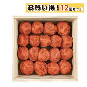 ܂Ƃߔ ~ Mtg ~ Mtg Zbg ~ڂ ߂ڂ Mtg Zbg Y cHi IB썂~ I̖~ 400g qo ~ Mtg Y IB~ IB ~ MtgZbg FUJI H