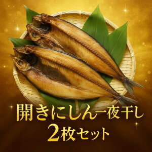 開きにしん 一夜干し 2枚セット グリル焼き 塩焼き 酒の肴 ご飯のお供 バーベキュー ギフト 道東観光 食品ギフト お取り寄せグルメ お歳暮