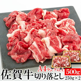 見事な霜降りが特徴!!佐賀牛A4ランク以上切り落とし500g 肉マーケット 食品ギフト お取り寄せグルメ お歳暮 クリスマス