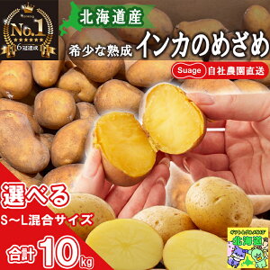 yyVLO 6Bz yXz CĴ߂  n Ⴊ 3kg 5kg 10kg SuageД_ kCY Iׂ kC Д_Y X[vJ[ lߍ킹 Suage  