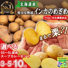 【楽天ランキング 6冠達成】 【当店限定】 インカのめざめ 希少 熟成 じゃがいも 3kg 5kg 10kg Suage自社農園直送 北海道産 選べる 北海道直送 自社農園産 スープカレー 詰め合わせ Suage すあげ 野菜セット 農家直送 じゃがいも ジャガイモ 送料無料 野菜 北海道物産