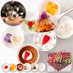 XC[cMtg f َq mpnwV[Y ؂Ɣn̈pv`JbvP[L 6 Ⓚ ybgt[h hbOt[h XC[c}[Pbg eB[^C