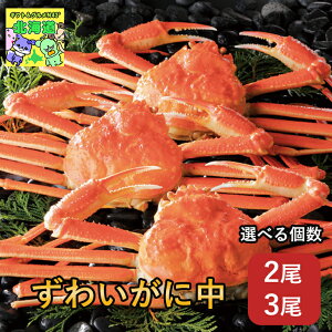 Iׂ 킢ɃMtg kC񂹃O kCCNMtg kC k̖oZbg ґOMtg ~̑蕨Mtg CNMtg NxQ 킢ɒ3