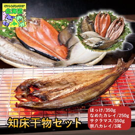 知床干物ギフト 北海道お取り寄せグルメ 北海道直送便 高級海鮮ギフト 北の味覚セット 贅沢グルメギフト 海鮮詰め合わせ 北海道海鮮ギフト 鮮度抜群直送便 ユートピア知床知床干物セット お歳暮 クリスマス FUJI