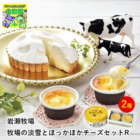牧場チーズケーキ 北海道お取り寄せスイーツ 北海道直送便 北の味覚スイーツ 贅沢スイーツギフト 北海道人気ギフト 高級スイーツギフト 冬の贈り物ギフト 鮮度抜群直送便 岩瀬牧場牧場の淡雪とほっかほかチーズセットR お歳暮 クリスマス FUJI