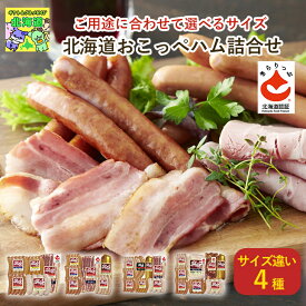 選べる種類 オホーツククリーンミート 北海道おこっぺハム詰合せ OF-A-1 OF-B-1 OF-C-1 OF-D-1 北海道グルメ 興部 ハムギフト お歳暮 クリスマス 産地直送 FUJI
