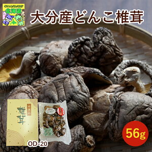 Y  }gY 啪Y ǂ񂱒ő 56g OD-20 Mtg j v[g  qo O ő Y ǂ j  FUJI