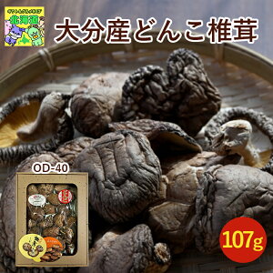 Y }gY 啪Y ǂ񂱒ő 107g OD-40 Mtg j v[g  qo O ő Y FUJI HiMtg 񂹃O Ε