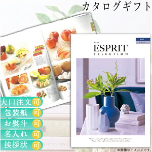 J^OMtg j Mtg  EFfBOMtg uC_Mtg Ԃ v[g O Luh ̌  Iׂ J^OMtg GXv GA[  n