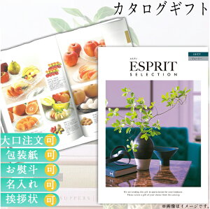 J^OMtg j Mtg  uC_Mtg Ԃ Ԃ O Luh ̌  Iׂ J^Oi J^OMtg GXv W[V[  n[jbN 