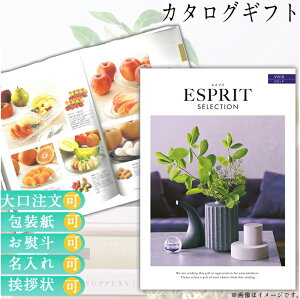 J^OMtg j Mtg  EFfBOMtg uC_Mtg Ԃ O Luh ̌  Iׂ J^Oi J^OMtg GXv rrbh  n