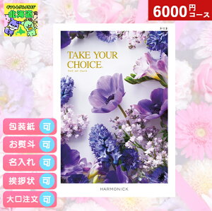 J^OMtg j J^OMtg TAKE YOUR CHOICEeCNA`CXll Mtg j Ԃ v[g O Luh ̌  Iׂ n[jbN HiMtg 