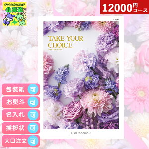 J^OMtg j J^OMtg TAKE YOUR CHOICEeCNA`CX~U Mtg j Ԃ v[g O Luh ̌  Iׂ n[jbN HiMtg 