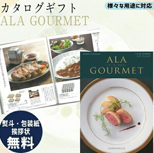 J^OMtg O J^OMtg ALA GOURMET  B A [Y AO O Mtg j Ԃ v[g Iׂ n[jbN HiMtg 񂹃O Ε N