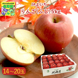 12/5()菇o 񂲃Mtg kC񂹃O Ynt[c k̖oMtg ґt[cMtg kClCMtg t[cMtg ~̑蕨Mtg NxQ