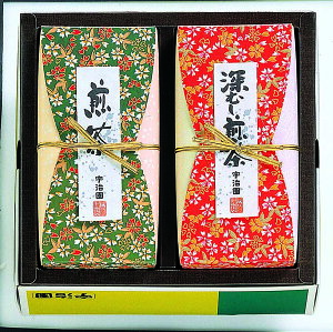 Y F Zbg DX-20 qo  Mtg    Y   t Zbg [ނ l j oYj j j FUJI HiMtg 񂹃O Ε NX