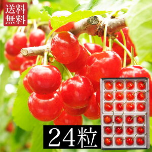 y7{`7{oׁz勴ډ̍gGzZbg 24 Yn   TN{ ʕ Mtg t[c j N yY Ε ǂ̓ FUJI Hi