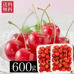 y7{`7{oׁz  gG 600g Yn   TN{ ʕ Mtg t[c j Ԃ oYj N yY Ε ǂ̓ FUJI H