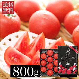 y7{`8{oׁz t[cg}g ͂邩GCg 800g Yn  g}g t[c g}g  Mtg t[c j Ԃ N yY Ε ǂ̓ FUJI