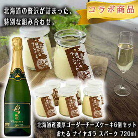 【当店限定】 【コラボ商品】 北海道産 濃厚 ゴーダ―チーズケーキ 6個セット YU-MN1 おたる ナイヤガラ スパ－ク 720ml お酒のお供 お酒のつまみ つまみセット お酒セット お酒 ワイン FUJI 御中元 御歳暮 バレンタイン ホワイトデー