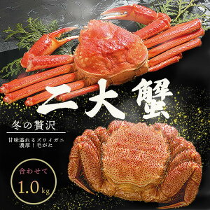 6-12肩 p YCKj т  I 2 Hה Mtg 킢ɖтɃZbg 蕨  j j oYj Ԃ 񂹃O w  j ۊC j v[