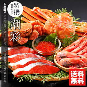 y蕨ɂ̓JjIz j Jj CN Mtg   CNZbg ()(5iZbg) / Ε Ε j Ԃ kC kCY CNZbg ъI уKj I JjZbg 