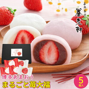 hV̓ aَq Mtg  s {V ܂ ܂邲䕑啟(5) / v[g c j Ԃ Ԃ j aXC[c 啟 啟  ܂  
