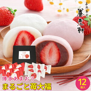 j aَq Mtg  s {V ܂ ܂邲䕑啟(12) / Ε Ε j Ԃ Ԃ j aXC[c 啟 啟   ܂  