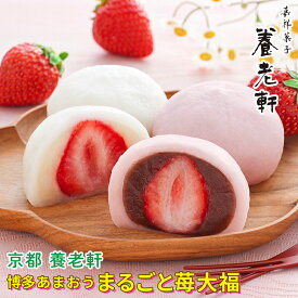 敬老の日 和菓子 ギフト 送料無料 京都 養老軒 博多あまおう まるごと苺大福(5個/8個/12個) / プレゼント 秋 グルメ 2026 内祝い お返し お祝い 和スイーツ 大福 いちご大福 苺 あまおう 白あん こしあん あずき あんこ デザート 老舗 有名 人気 お取り寄せ 詰め合わせ
