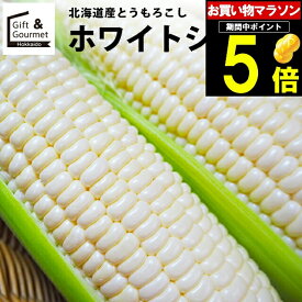 2024年 予約受付中 9月頃出荷開始とうもろこし 北海道 送料無料 北海道産 ホワイトショコラ【トウモロコシ とうきび 白系 ホワイト 白いとうもろこし 北海道直送 旬 果物 フルーツ 新鮮直送 ピュアホワイト系】